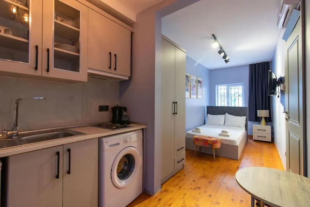 City Vibes And Comfort Combined Studio In Fatih Istanbul Apartment